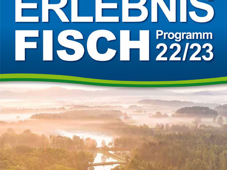 Programm Erlebniswochen Fisch 2022 erschienen