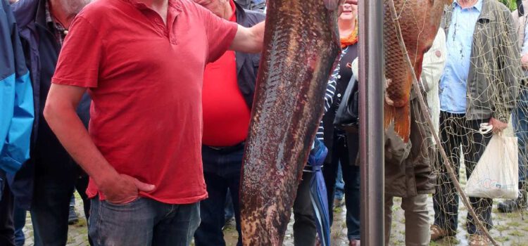 Bodensee, Fische, Klöster und viel Regen – Fischerei-Lehrfahrt 2024
