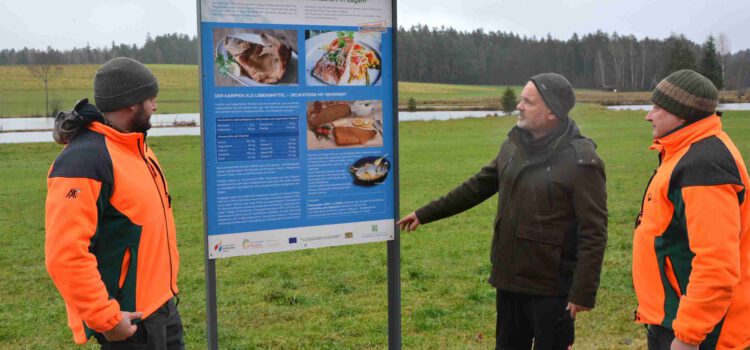 Immaterielles Kulturerbe „Traditionelle Teichwirtschaft in Bayern“: Neue IKE-Infotafeln am Sterzer Rundweg