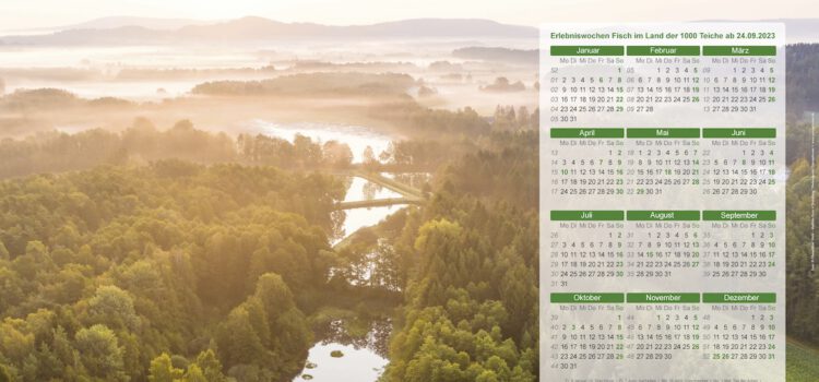 Wandkalender „Erlebnis Fisch“ 2023 ab sofort erhältlich