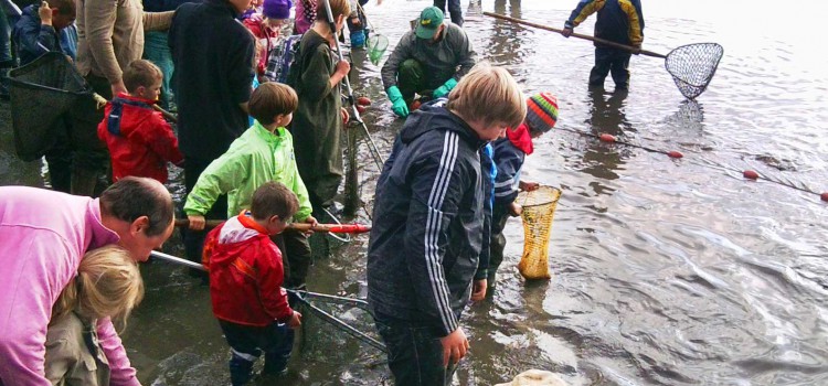 Kindertag im Land der 1000 Teiche 2019