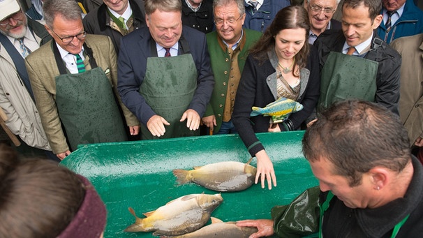 Bayerische Karpfensaison in Muckenthal eröffnet