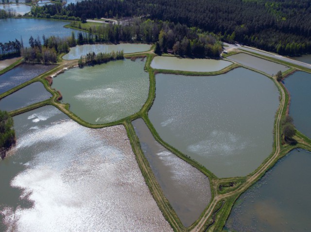 Was ist ein Teich? Erlebnis Fisch