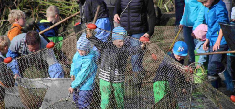 Abfischen für Kinder am Gowerlhof